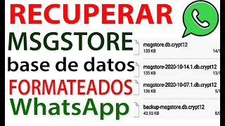 RECUPERAR las DATABASES msgstore de WhatsApp FORMATEADOS o RESTABLECIDOS [upl. by Lemay]