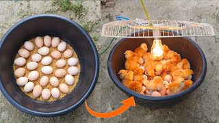 BEST Incubator For Chicken Eggs With 100 Efficiency  Chicken Hatchery  Chicken Egg Incubator [upl. by Naegem]