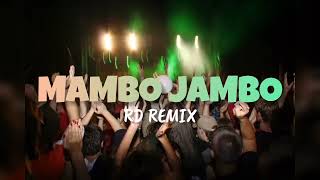 MAMBO JAMBO  RD REMIX  FVNKY BREAKS 2024 [upl. by Natsirt]