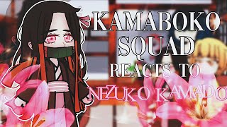 Kamaboko Squad reacts to Nezuko Kamado  MANGA SPOILERS  tomiokafangirl [upl. by Blatman257]