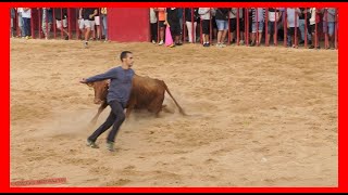 CALATORAO  ZARAGOZA  TARDE VACAS PLAZA  DOMINGO 27 AGOSTO 2023  GANADARRIAZU [upl. by Kcirrad]