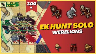 TIBIA EK HUNT SOLO 20 WERELIONS FULL PROFIT [upl. by Ruby]