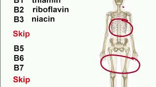 Vitamin B Deficiency Symptoms Causes Sources Treatment  Vitamin B Rich Foods  Practo [upl. by Anoerb]