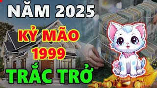 Tử vi tuổi KỶ MÃO 1999 năm 2025 NĂM ĐẦU TAM TAI dũng cảm đối diện sẽ vượt qua trở ngại [upl. by Herman701]