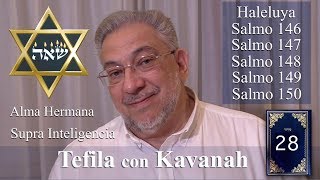 Kabbalah la Tefila con Kavanah  clase 28 Salmos 146 a 150 clase completa [upl. by Soule434]