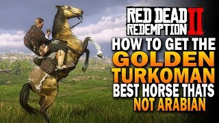 How To Get The Golden Turkoman Best Horses That Arent Arabian Red Dead Redemption 2 Horses RDR2 [upl. by Baggett]