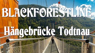 Blackforestline  450m Hängebrücke und 120m tief I Todtnau Hängebrücke [upl. by Notnilc]