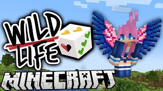 Surprise 🎲  Ep 1  Wild Life [upl. by Adaven256]