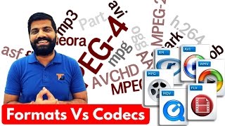 Video Codec amp Formats  MP4 AVI MKV WMV MOV AVCHD Explained [upl. by Anirehtac]