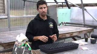 Seed starting instructional video from Territorial Seed Company [upl. by Grete]