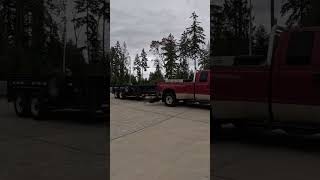 2000 73 Powerstroke ZF6 shorts powerstrokediesel f350 ford gopro goprohero [upl. by Enid]