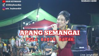 APANG SEMANGAI  PELA GADIS DAYAK  Live Lengkenat [upl. by Drareg]