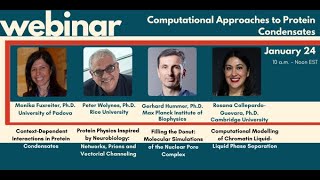 Computational Approaches to Protein Condensates [upl. by Nner]