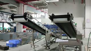 Rubber Belt Inclined Conveyor Focus Machinery [upl. by Nalhsa]