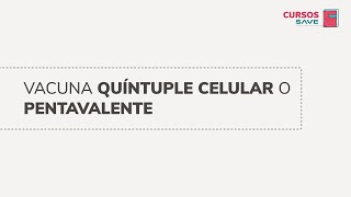 Módulo 4 Vacuna Quíntuple o Pentavalente [upl. by Henri]