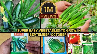 Super Easy Winter Vegetables To Grow In Pots सर्दियों में उगाइये ये असान सब्ज़ियाँ और फल गमले में [upl. by Weisbrodt]