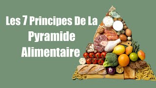 Les 7 Principes De La Pyramide Alimentaire [upl. by Ennylcaj]