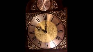 tempus fugit grandfather clock now running [upl. by Akimas]