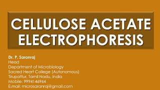 Cellulose Acetate Electrophoresis [upl. by Nylanej]