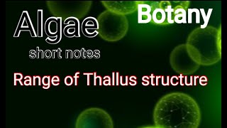 Range of Thallus structure in Algae Thallus organization in algae  algae BSc amp MSc [upl. by Cathy]