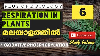 OXIDATIVE PHOSPHORYLATIONRESPIRATION IN PLANTS PLUS ONE BIOLOGY CHAPTER14 MALAYALATHIL STUDYBOTANY [upl. by Aneeled]