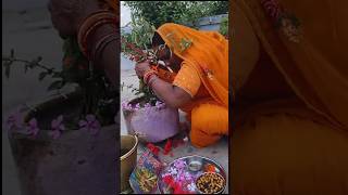 Jitiya puja 🙏🙏❤🌹jitiya vrat puja shortvideo jitiyamaiyakikatha yutubeshorts viralvideo [upl. by Thorwald329]