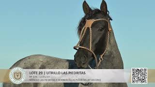 Lote 29 Utrillo Las Piedritas [upl. by Ecissej]