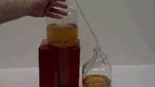 How to Rack One Gallon Of Mead Honey Wine [upl. by Naffets810]