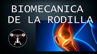 BIOMECANICA DE LA RODILLA [upl. by Otsedom]