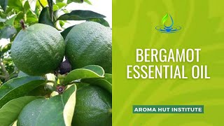 Bergamot Essential Oil  Bergamot Essential Oil Benefits [upl. by Cortney]