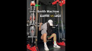 Smith Machine Squat VariationsKnow the difference [upl. by Hanauq]