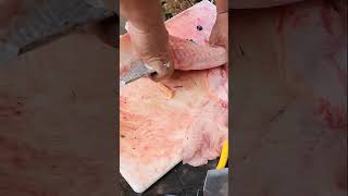 How to Cut Gar Fish  StepbyStep Guide FishCutting [upl. by Kandace]