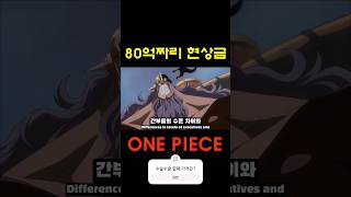 사실상 80억 현상수배범 one piece  8 billion wanted criminal [upl. by Aremihc]