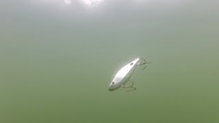 LIPLESS CRANKBAITS  What your Lures Look Like Underwater [upl. by Tiffanle114]