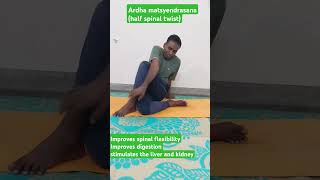 Ardha matsyendrasana half lord of the fishes pose half spinal twist yoga yoga for beginners [upl. by Elimaj]