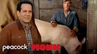 Monk And Randy Catch A Pig Killer  Monk [upl. by Eibrad485]