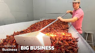 How A Louisiana Crawfish Company Harvests 60000 pounds A Day  Big Business  Insider Business [upl. by Anastassia]