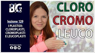 I PLASTIDI CLOROPLASTI CROMOPLASTI e LEUCOPLASTI [upl. by Tymes886]