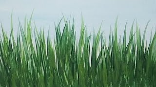 Acrylic Painting How to Paint Tall Grass Quick and Easy Painting Tutorial [upl. by Ecyle]