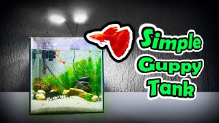 SIMPLE GUPPY FISH TANK setup  Simple DIY for AFR Albino Full Red Guppy Tank Aquarium Setup [upl. by Hermia207]