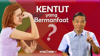 KENTUT YANG BERMANFAAT [upl. by Athena149]