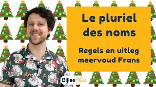 Frans meervoud le pluriel des noms  regels amp uitleg│BijlesHuis [upl. by Mckale]