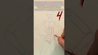 4  Mapping Superficial Torso Muscles on the Female Form  figurestudy figuredrawing drawing [upl. by Delanos]