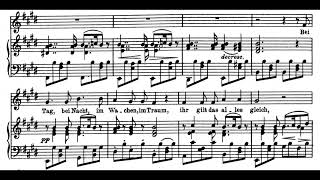 Die Taubenpost F Schubert Score Animation [upl. by Avictor241]