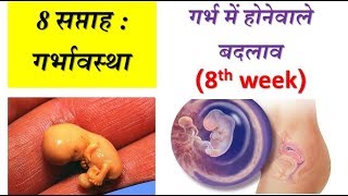 8 weeks of pregnancy and baby development in hindi [upl. by Acinok]