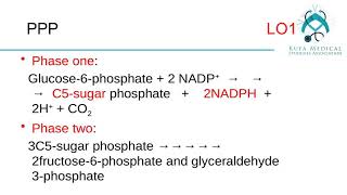 Metabolism Module Session 3 Lecture 1\By KMSA [upl. by Westbrook520]