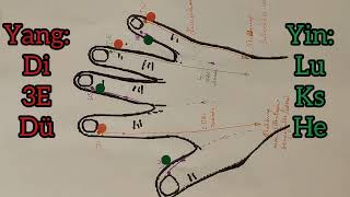 Meridiane einfach erklärt Teil 2 APM amp Akupunktur für Anfänger Meridiane der Hand Lu Di Ks De He Dü [upl. by Perrine]