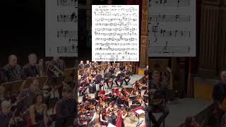 Khachaturian Violin Concerto Horn Solo  Angelo Bonaccorso [upl. by Dloniger]