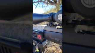 Weatherby Mark V ACCUMARK LTD 65300WBY Arizona Coues [upl. by Jegger]