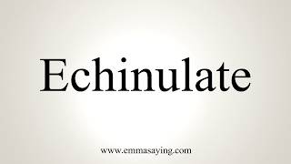 How To Pronounce Echinulate [upl. by Arbmahs]